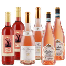 Rosé-Favoriten