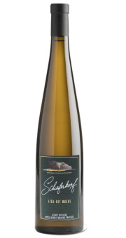 schieferkopf-m.chapoutier-lieu-dit-buehl-2022