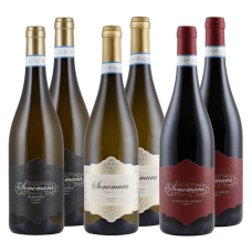 Sonomara Probierpaket | KI-generiert