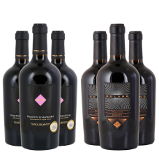 Bild von Zolla and Friends