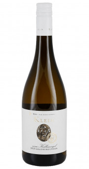 Grauburgunder-Highlights 2022 kaufen & bestellen | Silkes Weinkeller