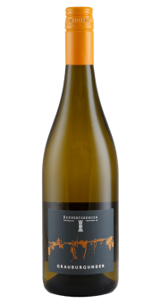 ruppertsberger-grauburgunder-2023