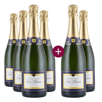 4+2 Superdeal Champagne Louis Bouvier Brut | KI-generiert