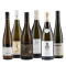 Pfalz Charakter Weinpaket