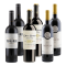 Ribera del Duero Favoriten | KI-generiert