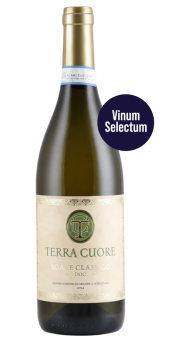 Terra Cuore Soave Classico 2024