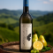 Lackner-Tinnacher Ried Welles Sauvignon Blanc 2021