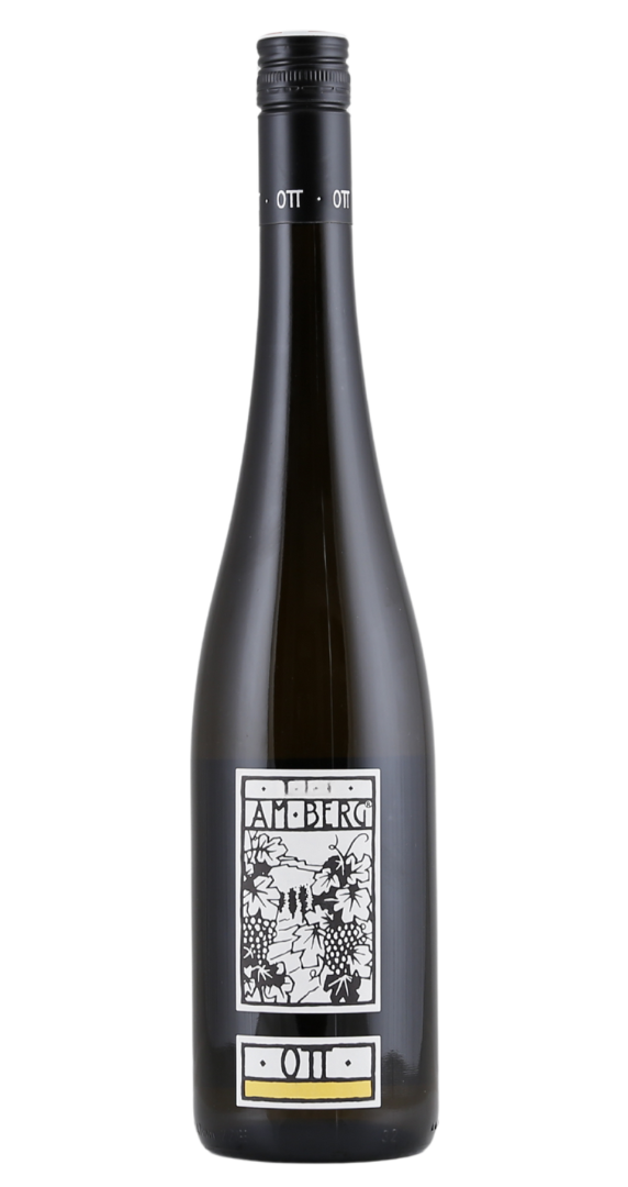 Bernhard Ott Grüner Veltliner am Berg 2025