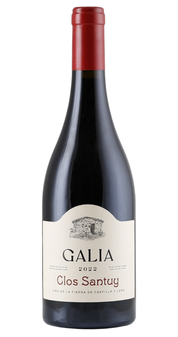 Galia Soriana Clos Santuy 2022