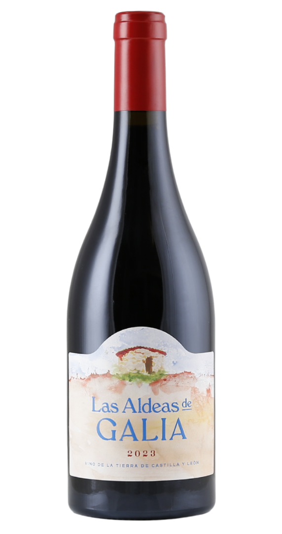 Galia Soriana Las Aldeas de Galia 2023