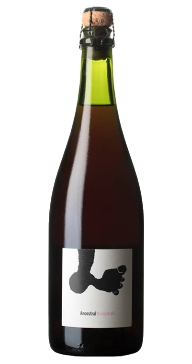 Joan Rubio Ancestral Monastrell 2021 SP37491 Silkes Weinkeller DE