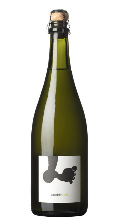 Joan Rubio Ancestral Xarello 2021 SP37485 Silkes Weinkeller DE