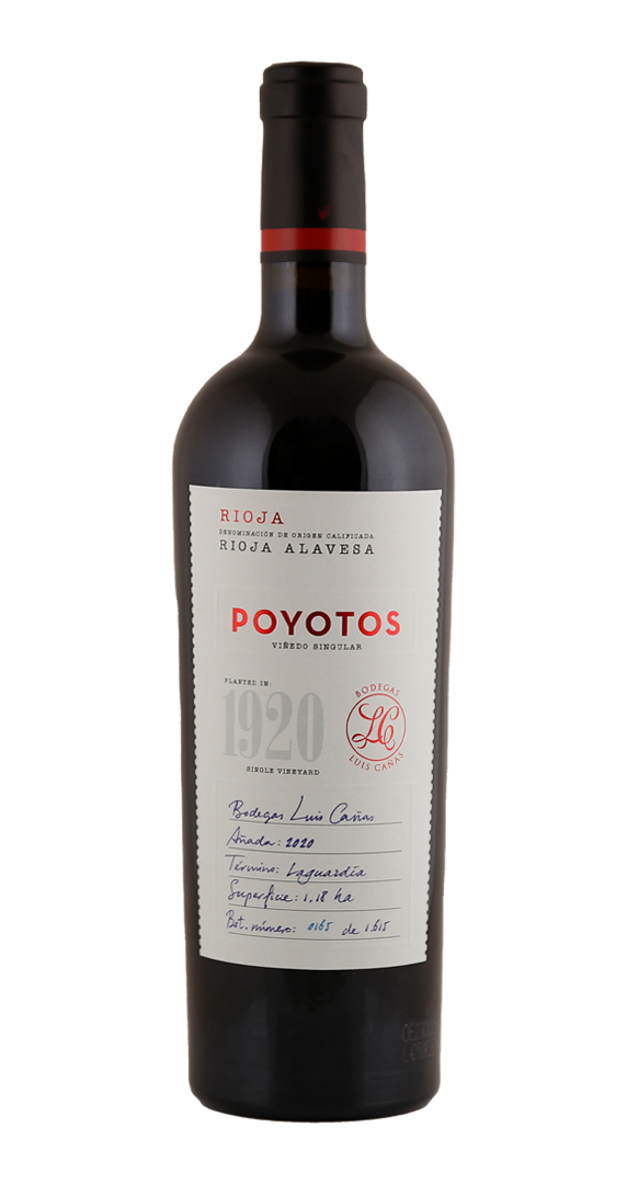 Image of Luis Cañas Finca Poyotos 2021