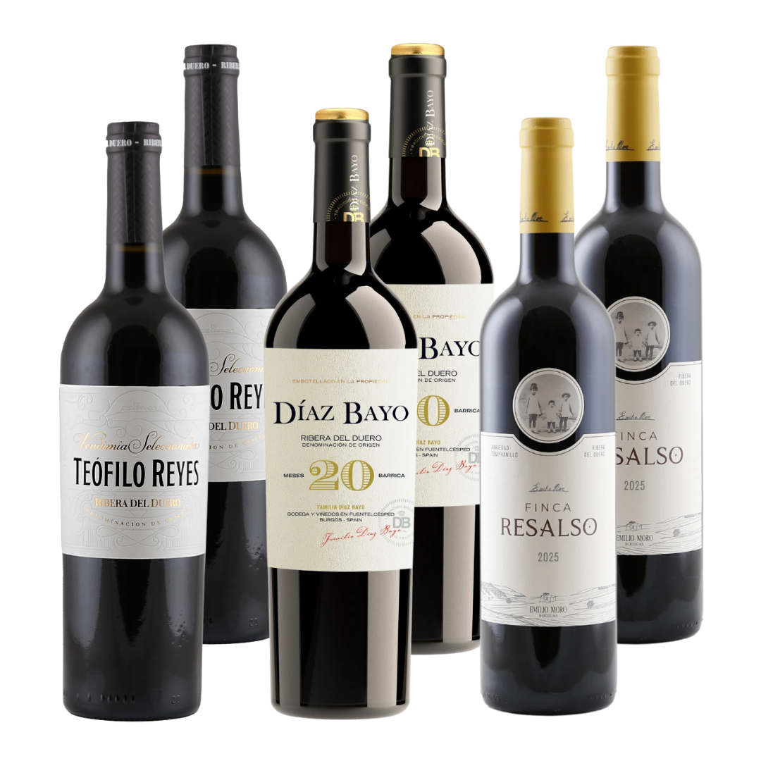 Ribera del Duero Favoriten