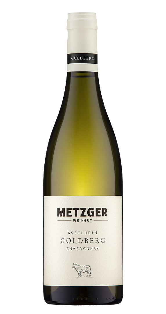 Weingut Metzger Asselheim Goldberg Chardonnay trocken 2023