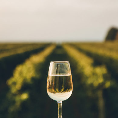 Der Riesling begeistert sowohl als frischer Sommerwein als auch als tiefgründiger Dessertbegleiter. Entdecken Sie den größten Repräsentant der Deutschen Weinkultur