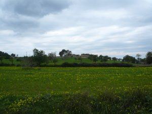 99 4puigverd1 landschaft