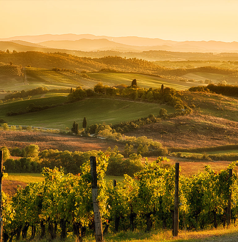 Inmitten der sanften Hügel der Toskana liegt die Heimat des Chianti – einem Rotwein, der den ganzen Zauber Italiens in sich vereint. Mehr über den Chianti erfahren