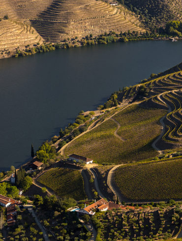 Entlang des Flusses Duoro präsentieren sich dem Naturbegeisterten diverse Klimazonen und dem Weinliebhaber eine große Weinvielfalt vom Port- bis zum Weißwein.