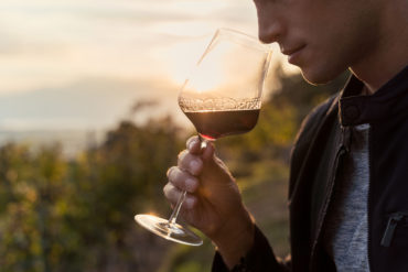 aromen im wein Erfahren Sie hier, welche Aromen in einem Wein stecken können. Unser Weinmaleins der Aromen liefert dabei zusätzliche Unterstützung in Wort und Bild.
