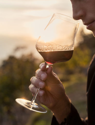 Erfahren Sie hier, welche Aromen in einem Wein stecken können. Unser Weinmaleins der Aromen liefert dabei zusätzliche Unterstützung in Wort und Bild.