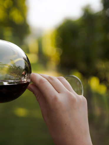 Handarbeit und über Generationen erarbeitetes Weinwissen lassen auf dem Weingut Gerhard Klein feine und ausgezeichnete Weine entstehen.