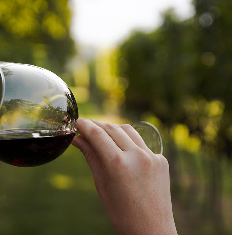 Handarbeit und über Generationen erarbeitetes Weinwissen lassen auf dem Weingut Gerhard Klein feine und ausgezeichnete Weine entstehen.