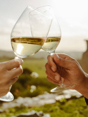 Egal, ob Airén, Trebbiano, Chardonnay oder einer der anderen Vertreter der Weißwein-Familie: Das sollten Sie über die hellen Tropfen aus aller Welt wissen.