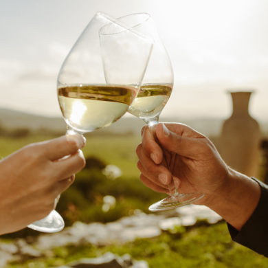 Egal, ob Airén, Trebbiano, Chardonnay oder einer der anderen Vertreter der Weißwein-Familie: Das sollten Sie über die hellen Tropfen aus aller Welt wissen.