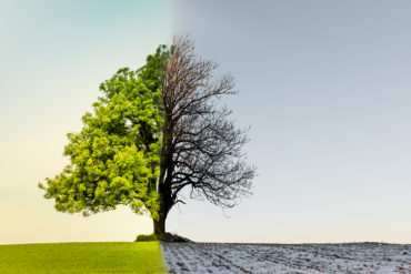 rotwein im winter weisswein im sommer Gefühlt wird im Sommer mehr Weißwein und im Winter mehr Rotwein getrunken. Charakter, Trinktemperatur und jahresbedingte Speisepläne geben zumindest eine Teilantowrt, warum das so ist.