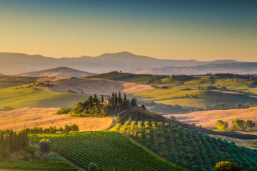 poggio lauro toskanisches jubilaeumsweingut Was im Jahr 1938 als unbekannter Familienbetrieb begann, wird heute von Liebhabern italienischer Weine bisweilen sogar als Geheimtipp gehandelt .