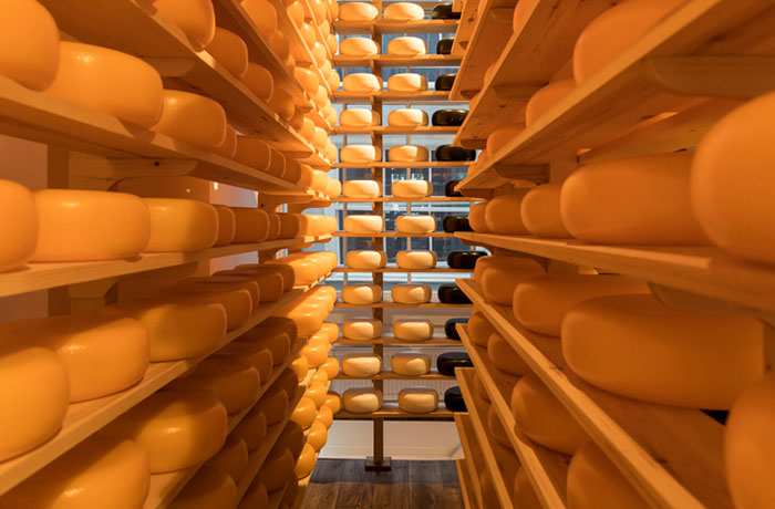 Wein und Kaese Gouda 2 Wein und Kaese Gouda 2 | Silkes Weinblatt
