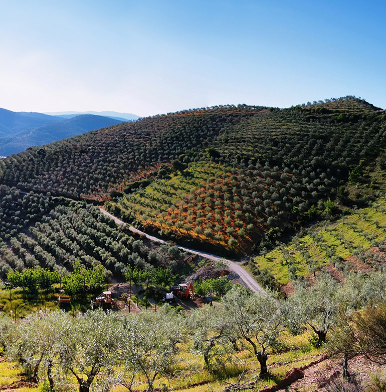 Für den spanischen Star-Winzer gibt es nicht nur ein einziges Anbaugebiet, sondern eine Vielzahl an potenziellen Entstehungsorten für seine erfolgreichen Weine.