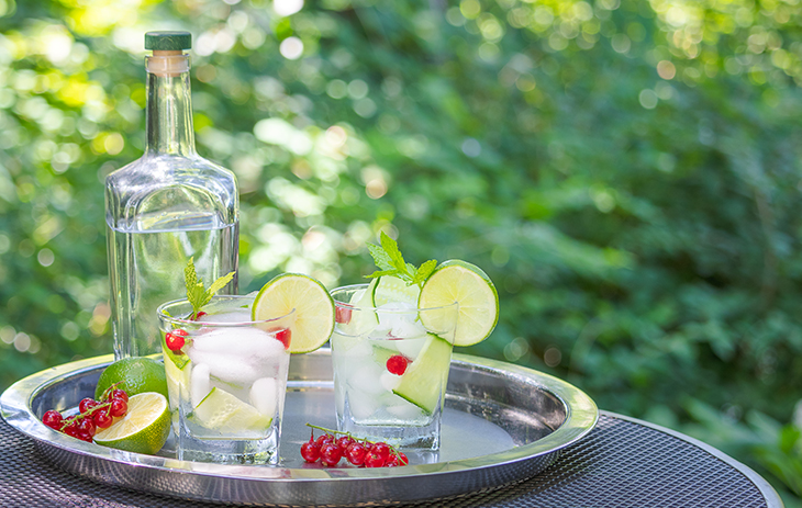 Klassischer Geschmack: Gin Tonic auf Eis mit Limette und Indian Tonic Water