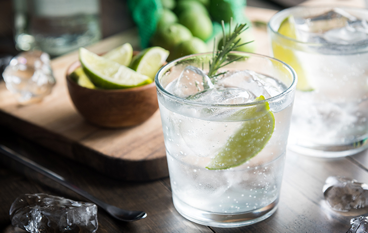 Mazeration: Gin mit Limette und Rosmarin auf Eis im Glas