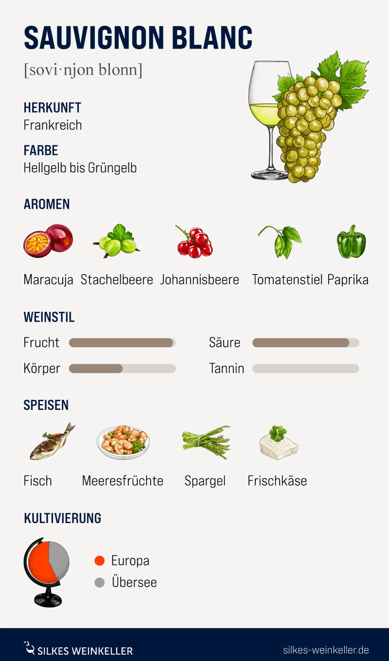 Grafik mit Illustrationen zu Sauvignon Blanc darauf