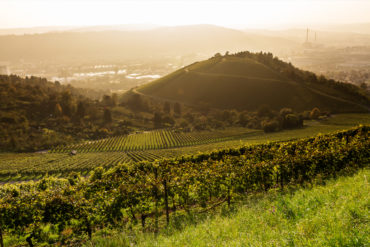 Vineyards at Stuttgart, Uhlbach at the Neckar Valley - beautiful landscape in autum in Germany