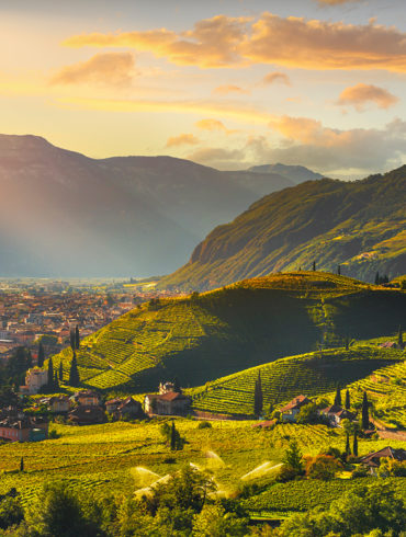 Kleine Region, aber hochqualitative Weine. Dies beschreibt die Kellerei Cantina Terlan am besten. Mit viel Mühe und Geduld entstehen unverwechselbare Weine.