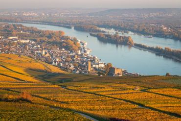 Das Weinbaugebiet Rheingau hält einige Besonderheiten für Weinliebhaber bereit, denn hier sorgen Klima, Boden und der Rhein für optimale Anbaubedingungen.
