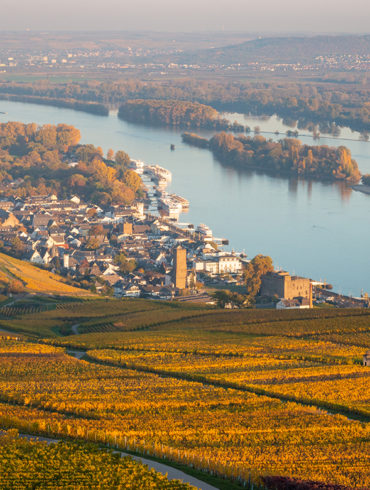 Das Weinbaugebiet Rheingau hält einige Besonderheiten für Weinliebhaber bereit, denn hier sorgen Klima, Boden und der Rhein für optimale Anbaubedingungen.