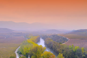 Geht es um spanischen Wein, darf ein Name keinesfalls fehlen: La Rioja. Die Region zwischen Alfaro und Haro besticht mit landschaftlicher Schönheit und großem Wein.