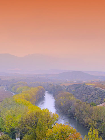 Geht es um spanischen Wein, darf ein Name keinesfalls fehlen: La Rioja. Die Region zwischen Alfaro und Haro besticht mit landschaftlicher Schönheit und großem Wein.