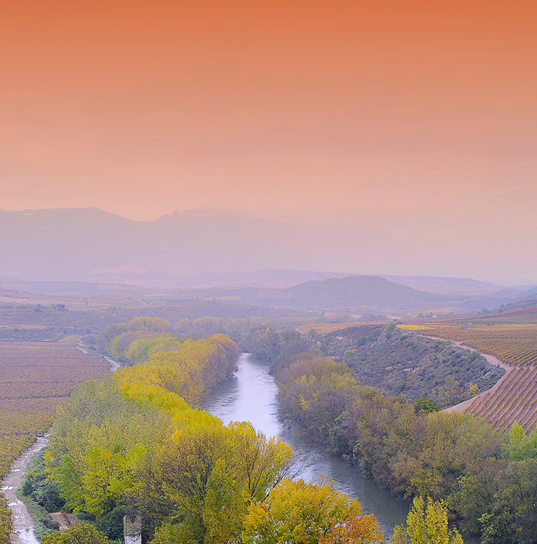 Geht es um spanischen Wein, darf ein Name keinesfalls fehlen: La Rioja. Die Region zwischen Alfaro und Haro besticht mit landschaftlicher Schönheit und großem Wein.