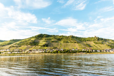 Obwohl die Region Mittelrhein zu den kleinsten Weinanbaugebieten in Deutschland gehört, bringen ihre Winzer jedes Jahr große und ausgezeichnete Weine hervor.