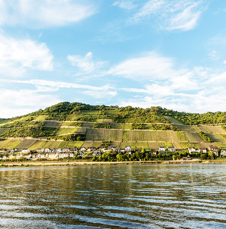 Obwohl die Region Mittelrhein zu den kleinsten Weinanbaugebieten in Deutschland gehört, bringen ihre Winzer jedes Jahr große und ausgezeichnete Weine hervor.