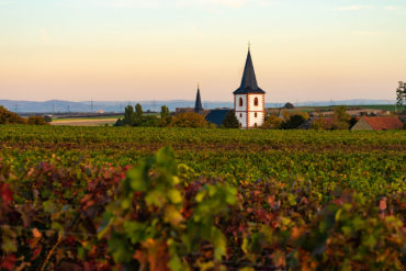 Im Bundesland Rheinland-Pfalz liegt mit Rheinhessen das größte deutsche Weinbaugebiet – Grund genug, auch dieses Anbaugebiet besser kennenzulernen.