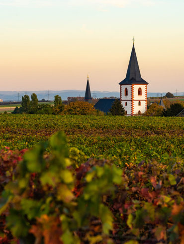 Im Bundesland Rheinland-Pfalz liegt mit Rheinhessen das größte deutsche Weinbaugebiet – Grund genug, auch dieses Anbaugebiet besser kennenzulernen.
