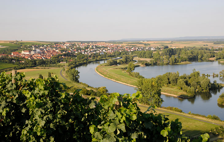 Stadt an einem Fluß im Weinbaugebiet Franken | Silkes Weinkeller