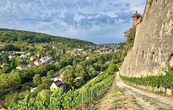 Stadt eingebettet zwischen Wald und Weinbergen im Weinbaugebiet Franken | Silkes Weinkeller