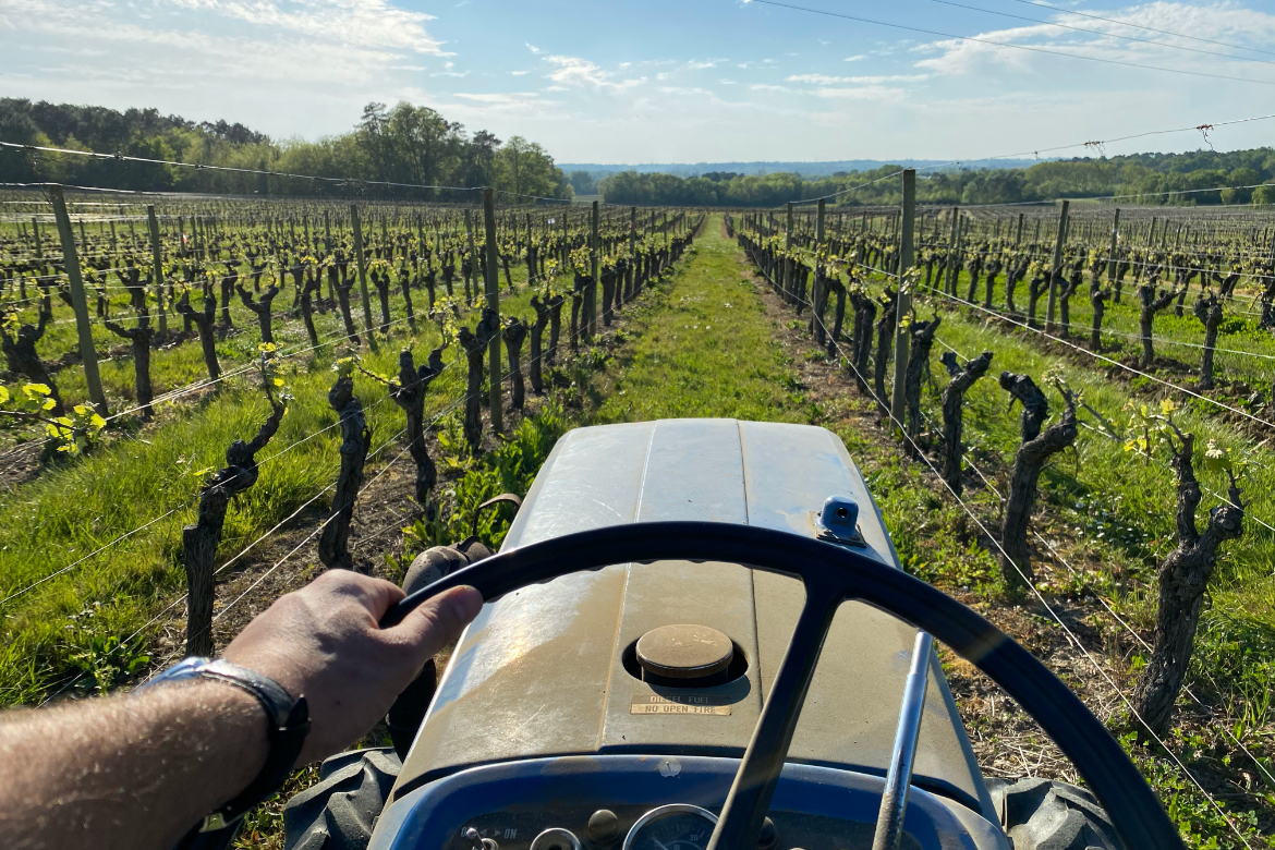Blich aus der Ich-Perspektive von einem Traktor zwischen Weinrebenbei Vignoble Ducourt | Silkes Weinkeller